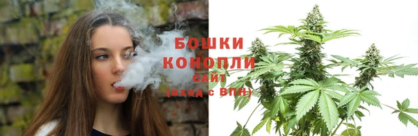 гашик Михайлов