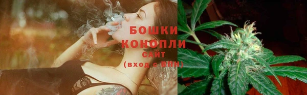 гашик Михайлов