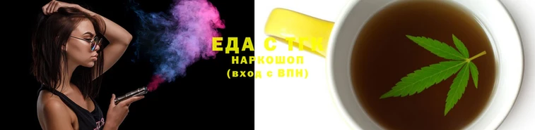 гашик Михайлов