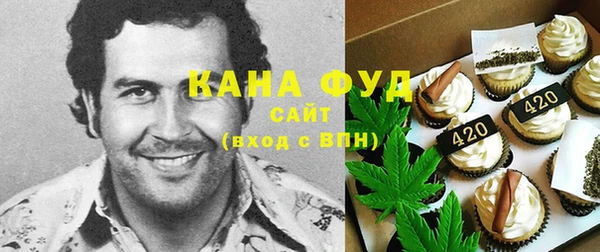 гашик Михайлов