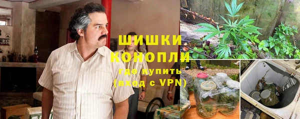 гашик Михайлов