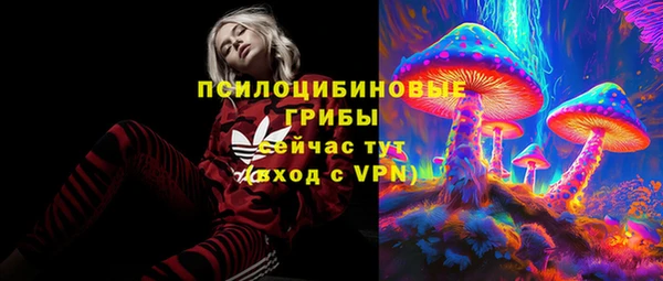 эйфоретик Михайловск